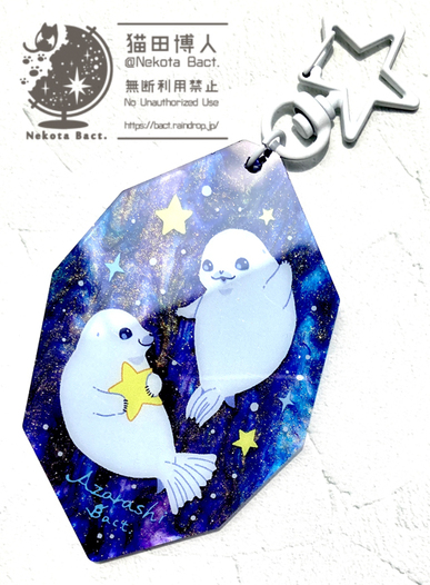 マーブルアクキー・アザラシ