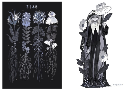 白黒花々ポストカードセット