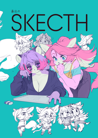 最近のSKECTH