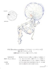 サンプル画像 No.3