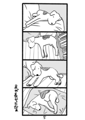 サンプル画像 No.3