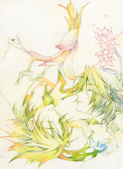 サンプル画像 No.2