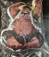 クッション/テツギュウ