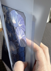 サンプル画像 No.2