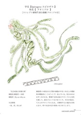 サンプル画像 No.4