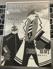 海の先生達の観察無配チラシ