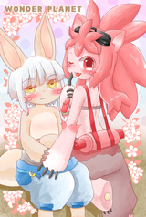 【B2サイズ】ミーナナタペストリー