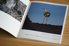 サンプル画像 No.4