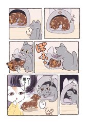 サンプル画像 No.4