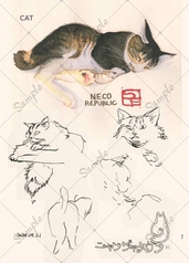 サンプル画像 No.5