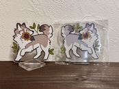 四季オオカミアクスタ夏