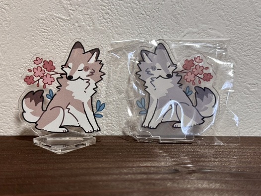 四季オオカミアクスタ春