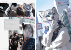 サンプル画像 No.2