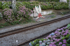 サンプル画像 No.2