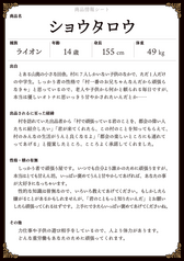 サンプル画像 No.2