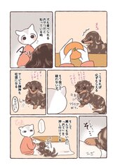 サンプル画像 No.2