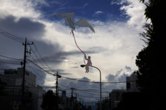 サンプル画像 No.1