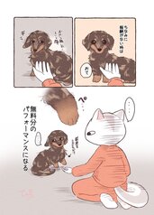 サンプル画像 No.3