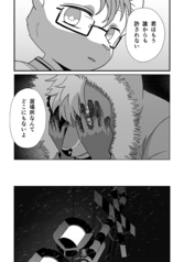 サンプル画像 No.5