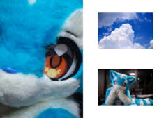 サンプル画像 No.4