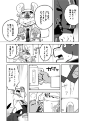 サンプル画像 No.5