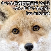 「キツネ写真集」キツネ保護観察日誌 Vol.3 -ホンドギツネの令- / fox-info.net